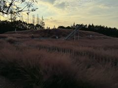 -嘉北郊野公园