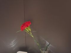 -華府Deluxe(兴业太古汇店)