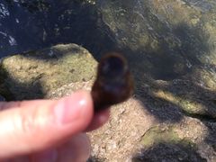 -贵阳市花溪国家城市湿地公园