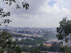 -火炉山森林公园