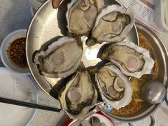 -冯姐生蚝(长隆横琴店)