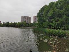 -海天湖公园
