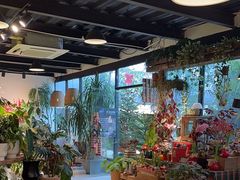 -自由生长植物工作室(深港花卉中心店)