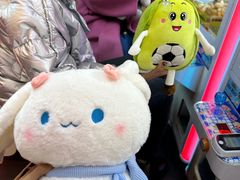 -PAWTOY爪e玩偶店(天兴罗斯福店)