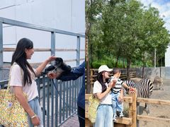 -水上乐园·欢乐世界