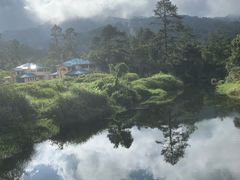 -海南热带雨林国家公园吊罗山景区