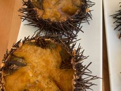 -海胆小馆(东北水饺·春柳店)