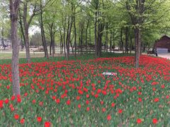 -长春公园(普阳街道)