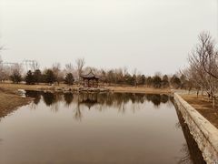 -张家湾公园