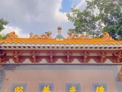 -深圳仙湖植物园
