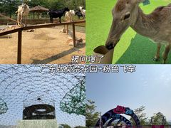 -盈香心动乐园