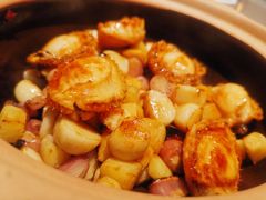 砂锅鲍鱼仔-徐记海鲜(南油永新汇店)