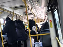 -玲玲米粉·新疆现炒米粉(大十字总店)