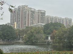 -荔湾湖公园