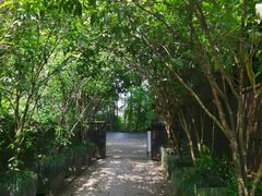 -野蔓果·山野菜(西湖景区·龙井茶田店)