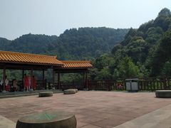 -铁山坪森林公园