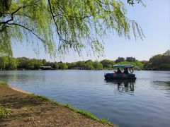 -上海共青森林公园