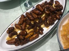 -海派美食·家宴海鲜青岛菜·石锅鲽鱼头(东方城店)
