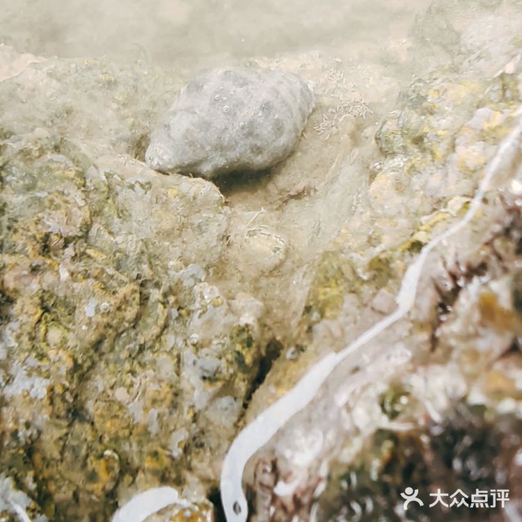 就是玩