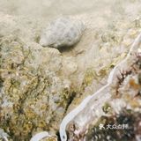 就是玩