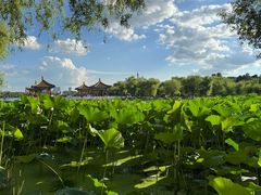 -长春市南湖公园