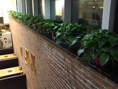 -金豆角砂锅焖面(安贞店)