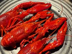 -红盔甲·小龙虾(定西路店)