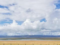 -郭莽湿地