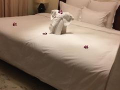 -三亚亚龙湾雅高铂尔曼别墅度假酒店
