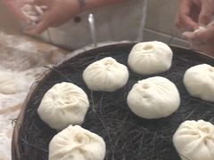 -舒小笼松针小笼包