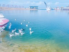 -青海湖国家重点风景名胜区