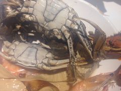 -鼎香缘海鲜自助火锅烤肉(锦辉购物广场店)
