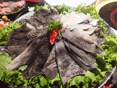 空运绿色毛肚-渝利重庆火锅