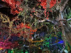 -泉城欧乐堡海洋极地世界