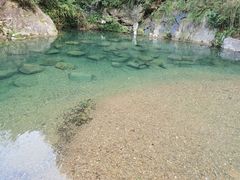 -宁波五龙潭景区