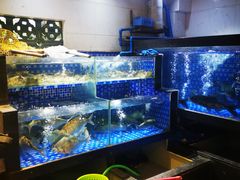 水产区-农汤老店(顺联公园里店)