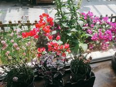 -慢丽江·云南野生菌土鸡锅(付家庄店)