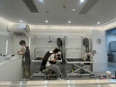 -comecome来吧宠物(奥克斯中心店)