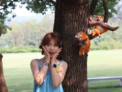 -南京银杏湖乐园