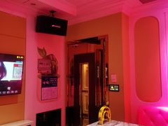 -金青果甄选KTV(劳动公园店)