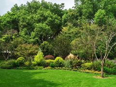 -徐家汇源景区-衡山公园