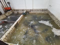 铁山有机雄鱼头-陈大锅·岳阳鱼馆·地道岳阳菜(美食街店)