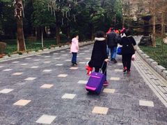 -森波拉火山温泉