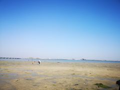 -北海金海湾红树林生态旅游区