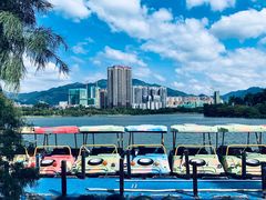 -飞来湖湿地公园