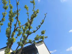 -石湖景区