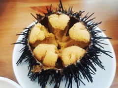 -海胆小馆(东北水饺·春柳店)