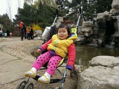 android_upload_pic-沈阳南湖公园