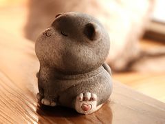 -猫的茶·猫咖