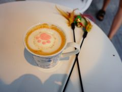 -喵屿·大理花园猫咖